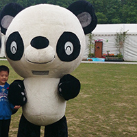 &#x718A;&#x8C93; Panda